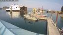 ./images/quadra/hbidock/20250906/hbidock20250906_150511M.jpg