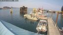 ./images/quadra/hbidock/20250906/hbidock20250906_153000M.jpg