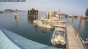./images/quadra/hbidock/20250906/hbidock20250906_153500M.jpg