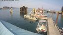./images/quadra/hbidock/20250906/hbidock20250906_153510M.jpg