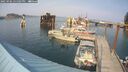 ./images/quadra/hbidock/20250906/hbidock20250906_155005M.jpg