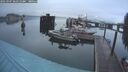 ./images/quadra/hbidock/20250907/hbidock20250907_063510M.jpg