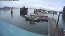 ./images/quadra/hbidock/20250907/hbidock20250907_064511M.jpg