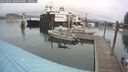 ./images/quadra/hbidock/20250907/hbidock20250907_084008M.jpg