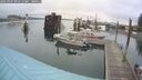 ./images/quadra/hbidock/20250907/hbidock20250907_091511M.jpg