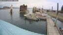./images/quadra/hbidock/20250907/hbidock20250907_113500M.jpg