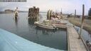./images/quadra/hbidock/20250907/hbidock20250907_114000M.jpg