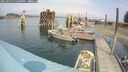 ./images/quadra/hbidock/20250907/hbidock20250907_132000M.jpg