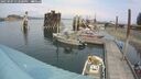 ./images/quadra/hbidock/20250907/hbidock20250907_132500M.jpg