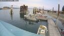 ./images/quadra/hbidock/20250907/hbidock20250907_132510M.jpg