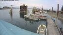 ./images/quadra/hbidock/20250907/hbidock20250907_133012M.jpg