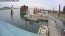 ./images/quadra/hbidock/20250907/hbidock20250907_133509M.jpg