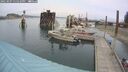 ./images/quadra/hbidock/20250907/hbidock20250907_135010M.jpg