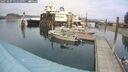 ./images/quadra/hbidock/20250907/hbidock20250907_145010M.jpg