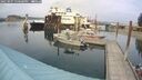 ./images/quadra/hbidock/20250907/hbidock20250907_150500M.jpg
