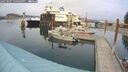 ./images/quadra/hbidock/20250907/hbidock20250907_150509M.jpg