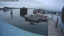 ./images/quadra/hbidock/20250907/hbidock20250907_200508M.jpg