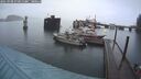 ./images/quadra/hbidock/20250908/hbidock20250908_070013M.jpg