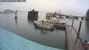 ./images/quadra/hbidock/20250908/hbidock20250908_075011M.jpg