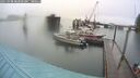 ./images/quadra/hbidock/20250908/hbidock20250908_083000M.jpg