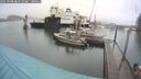 ./images/quadra/hbidock/20250908/hbidock20250908_083510M.jpg