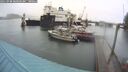 ./images/quadra/hbidock/20250908/hbidock20250908_085000M.jpg