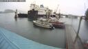 ./images/quadra/hbidock/20250908/hbidock20250908_085011M.jpg