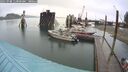 ./images/quadra/hbidock/20250908/hbidock20250908_113000M.jpg
