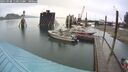 ./images/quadra/hbidock/20250908/hbidock20250908_113011M.jpg