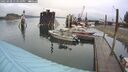 ./images/quadra/hbidock/20250908/hbidock20250908_133510M.jpg