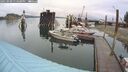 ./images/quadra/hbidock/20250908/hbidock20250908_134500M.jpg