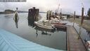 ./images/quadra/hbidock/20250908/hbidock20250908_140500M.jpg