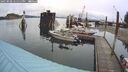 ./images/quadra/hbidock/20250908/hbidock20250908_141511M.jpg