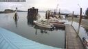 ./images/quadra/hbidock/20250908/hbidock20250908_142000M.jpg