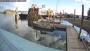 ./images/quadra/hbidock/20250917/hbidock20250917_085010M.jpg