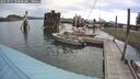 ./images/quadra/hbidock/20250917/hbidock20250917_101000M.jpg