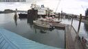 ./images/quadra/hbidock/20250917/hbidock20250917_124011M.jpg