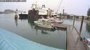 ./images/quadra/hbidock/20250917/hbidock20250917_130012M.jpg