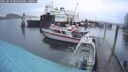./images/quadra/hbidock/20251019/hbidock20251019_085001M.jpg