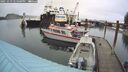 ./images/quadra/hbidock/20251019/hbidock20251019_125000M.jpg