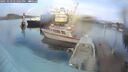 ./images/quadra/hbidock/20251019/hbidock20251019_131501M.jpg