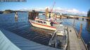 ./images/quadra/hbidock/20251019/hbidock20251019_155501M.jpg
