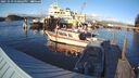 ./images/quadra/hbidock/20251019/hbidock20251019_170002M.jpg
