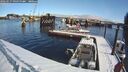 ./images/quadra/hbidock/20260217/hbidock20260217_100000M.jpg