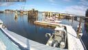 ./images/quadra/hbidock/20260217/hbidock20260217_124500M.jpg