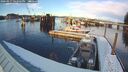 ./images/quadra/hbidock/20260217/hbidock20260217_162001M.jpg