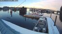 ./images/quadra/hbidock/20260217/hbidock20260217_172001M.jpg