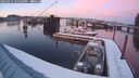 ./images/quadra/hbidock/20260217/hbidock20260217_175002M.jpg