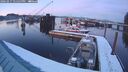 ./images/quadra/hbidock/20260217/hbidock20260217_175500M.jpg