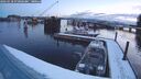 ./images/quadra/hbidock/20260218/hbidock20260218_071002M.jpg